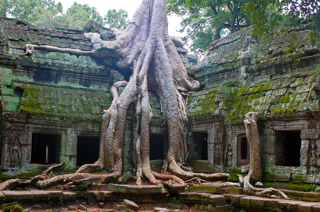 Jungle Temple Complex